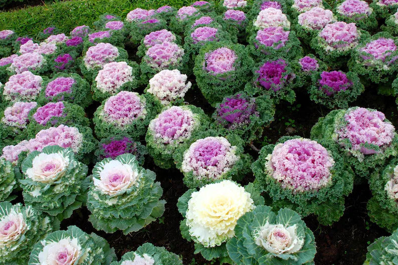 1dd06885-0331-4ee3-81cf-2d8d7ab28f6a