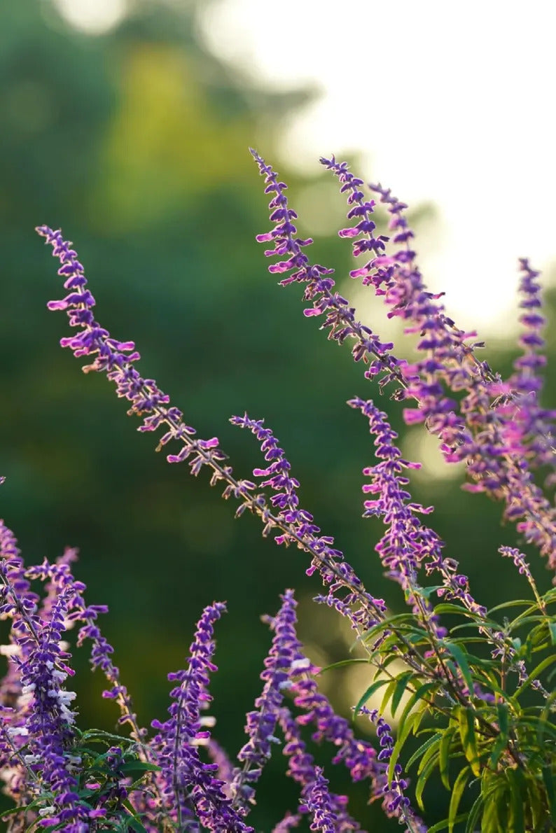 db23f061-ec0b-4c98-9603-58cfea868237