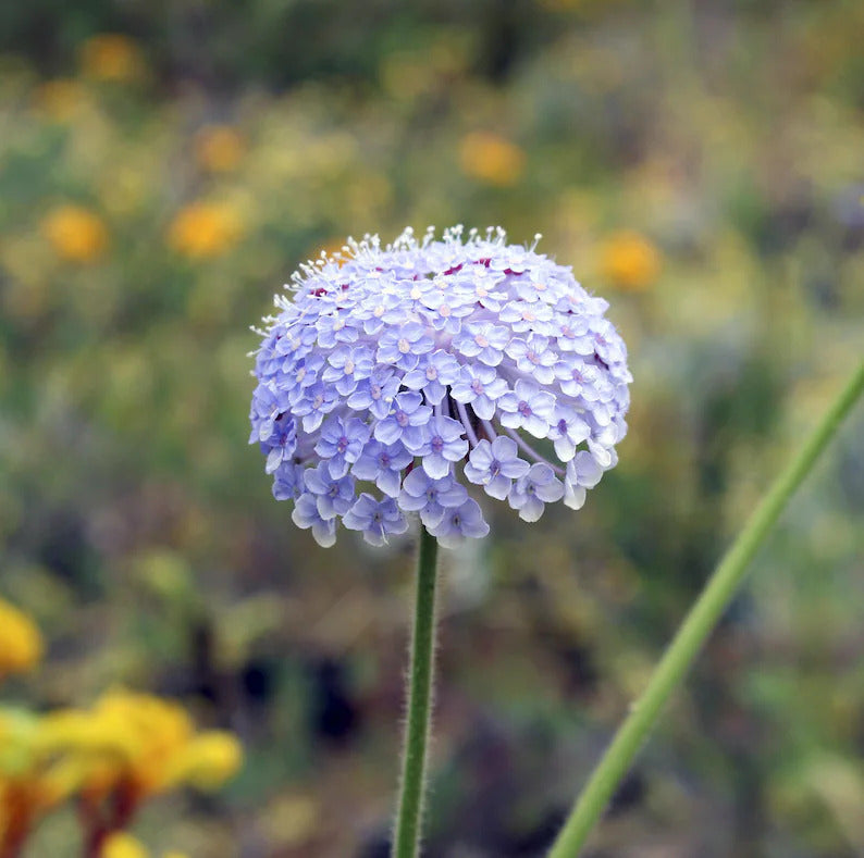 3d1b6612-b5d4-4f96-af62-d74e48deee2a