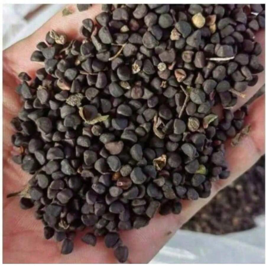 05e09761-478a-4e0d-a4a6-e8078fcdeed6