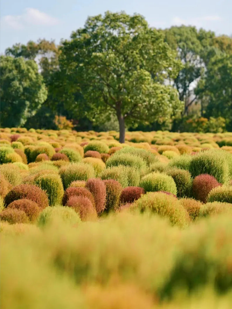 2d83444a-8417-4b46-b374-77c732e29ed4