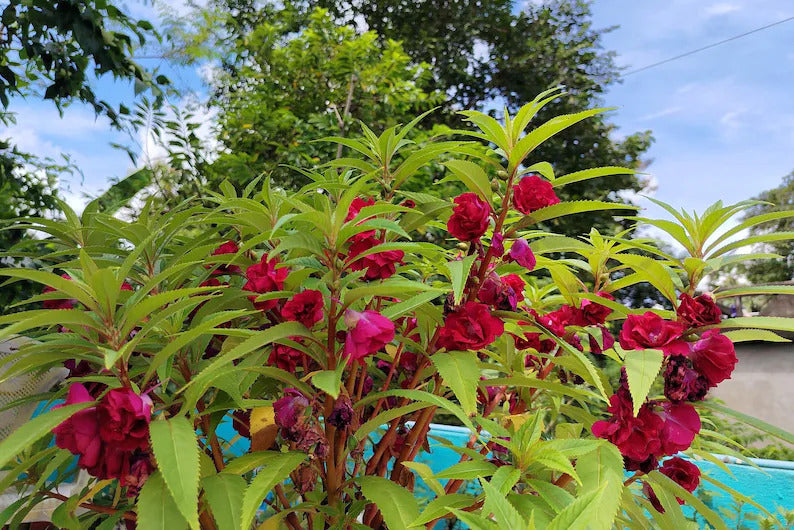 e2014057-9164-48f4-8d90-63c1b93df9b9