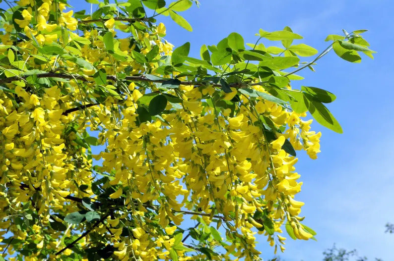 a6e6fe72-e5ee-411d-860d-9fc5dece0b8b