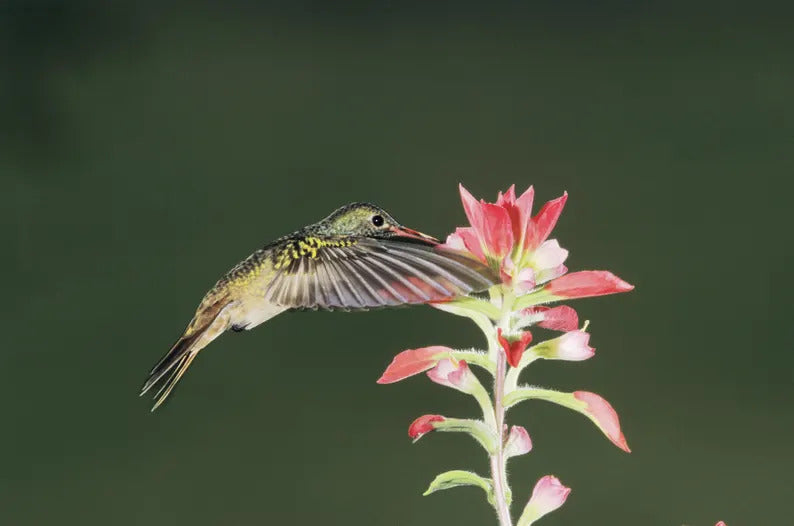 2a13eaa8-f0b6-407a-85d0-522660c53dcc