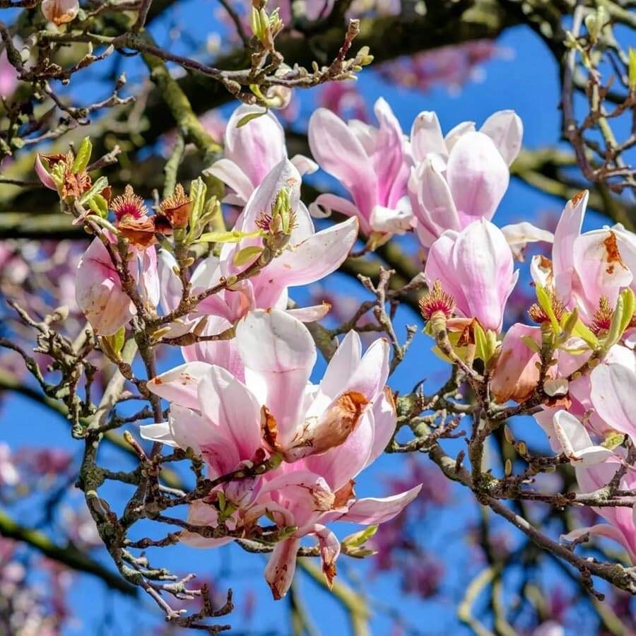 125247d5-c584-4920-bbd9-c833e79a31c9