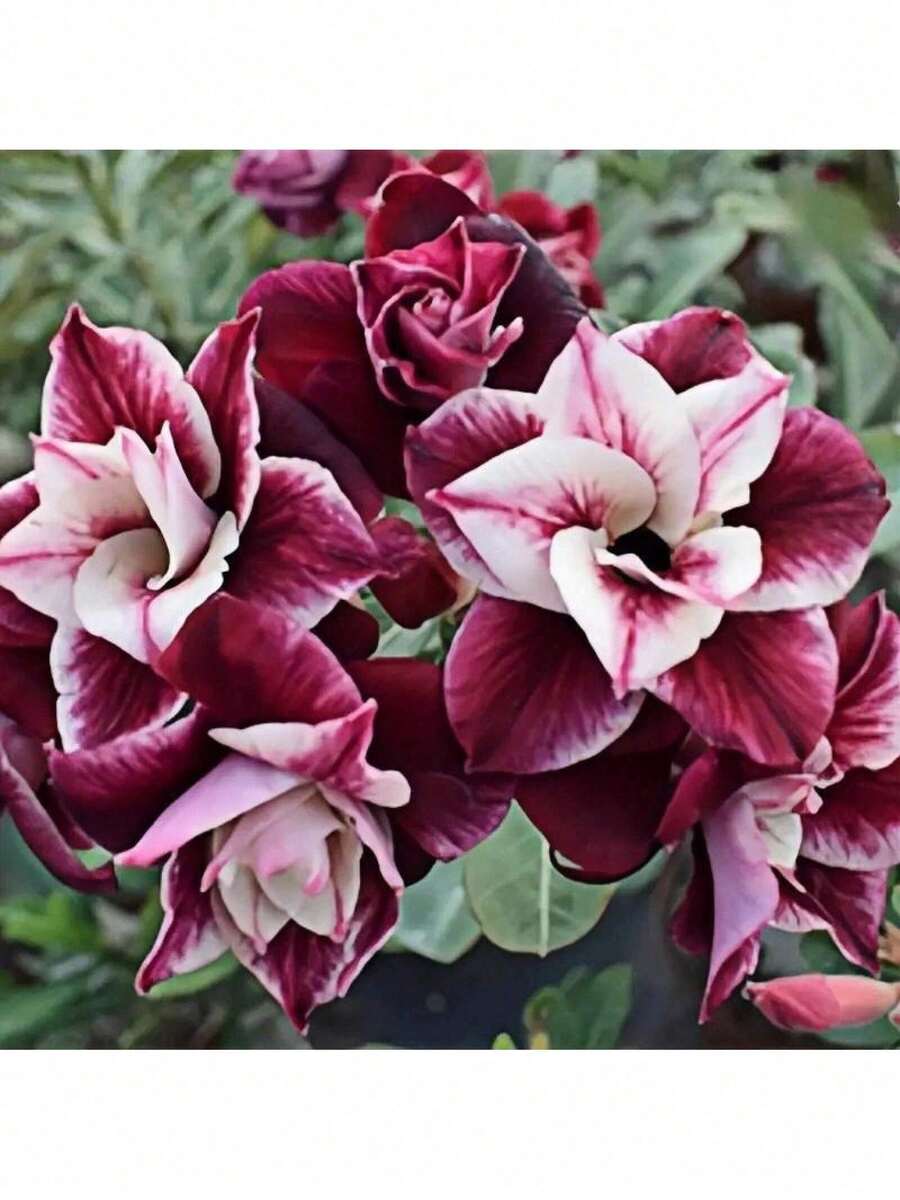 7ddc8ee7-f22d-4ca8-a6b6-f5cd74f6abe2