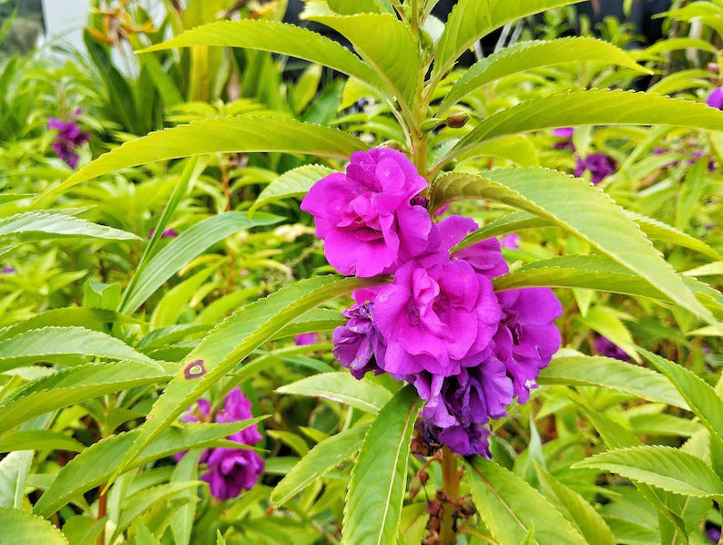 4662096f-5172-4d32-b8d4-0d1cc372c082