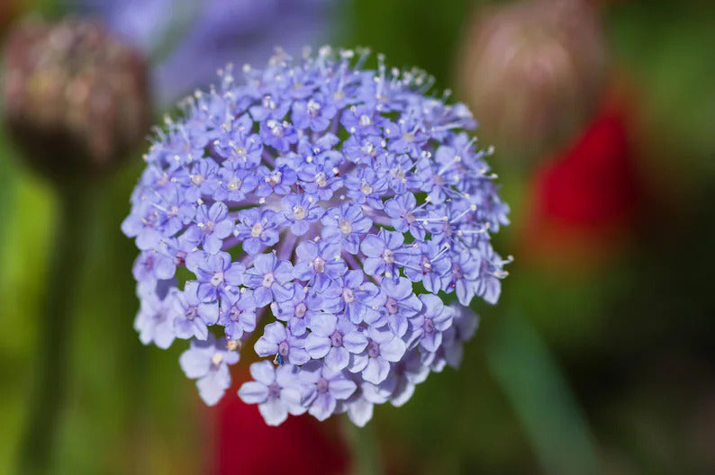 66c15a85-0336-492c-8adc-45b253fd24b4