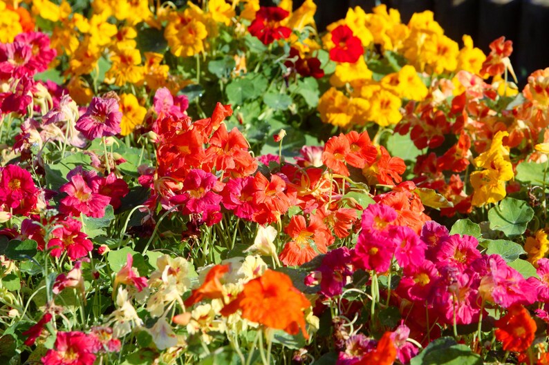 3fb4cd28-6d09-4475-8a49-a6a82f28ef43