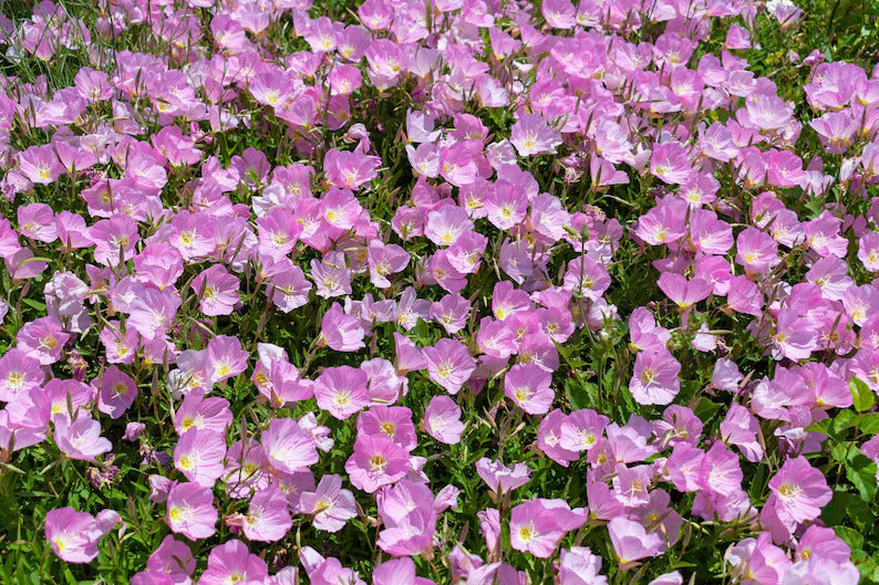 3719d75c-1a1c-44c0-a21b-35f4c7b3e120