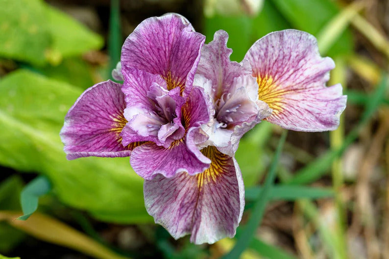 d92a734a-40e4-478e-b1cd-ee516dde5490