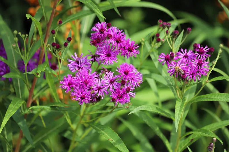 f66cba74-26ea-4980-a481-c74036f892f0