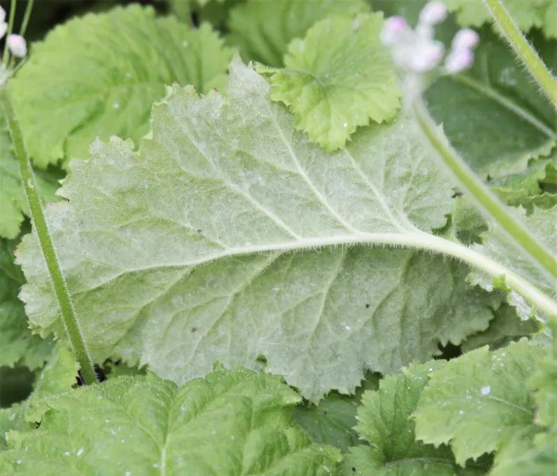 c712045d-5fc3-4ea2-b6a9-3ea6c3829671