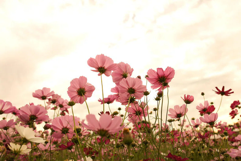 64668d3b-0c06-4262-8f7f-7d6f85f9905f