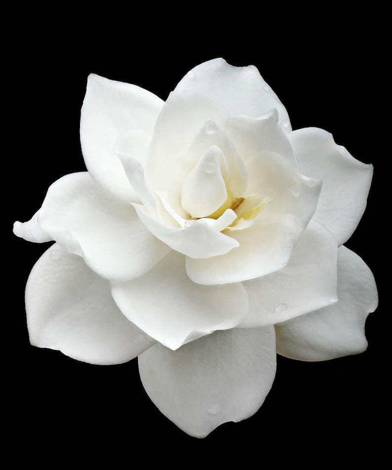 903503af-db35-479c-99b4-3040bed40a21