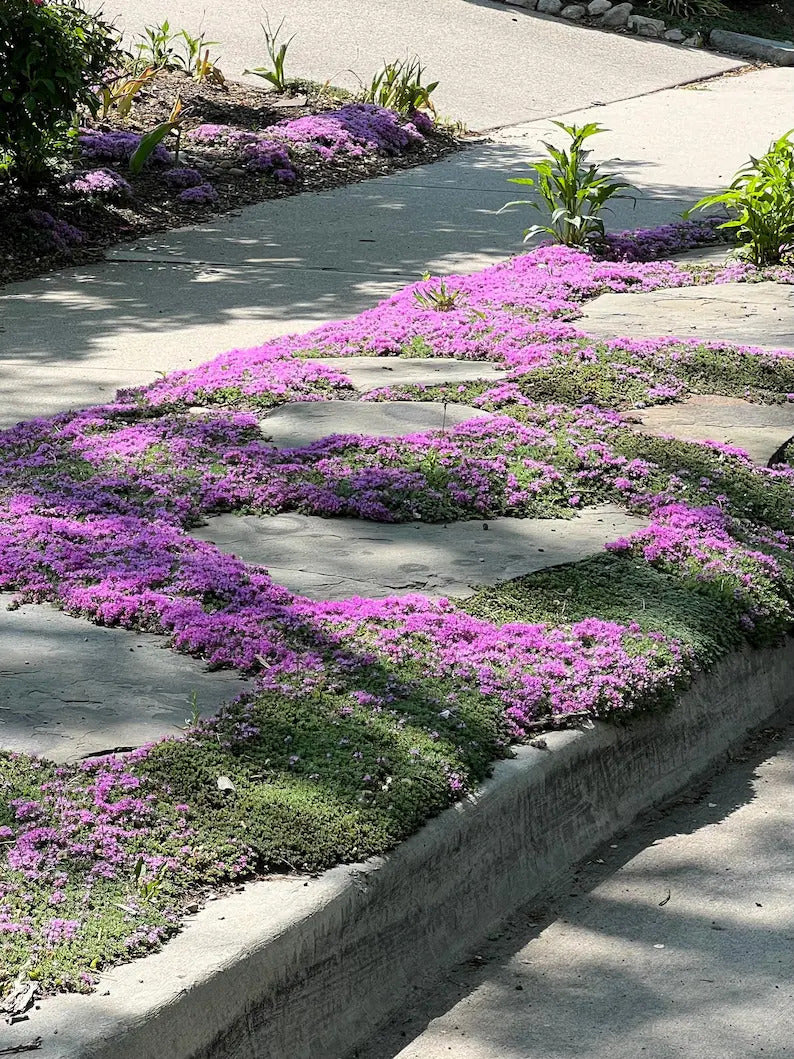 29c08276-e171-43c4-a0d2-6eeb6dba6507