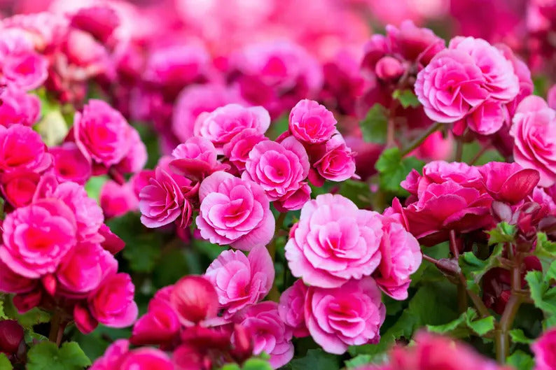 d5d566aa-5d1f-4da2-910c-c36981e5f6cc