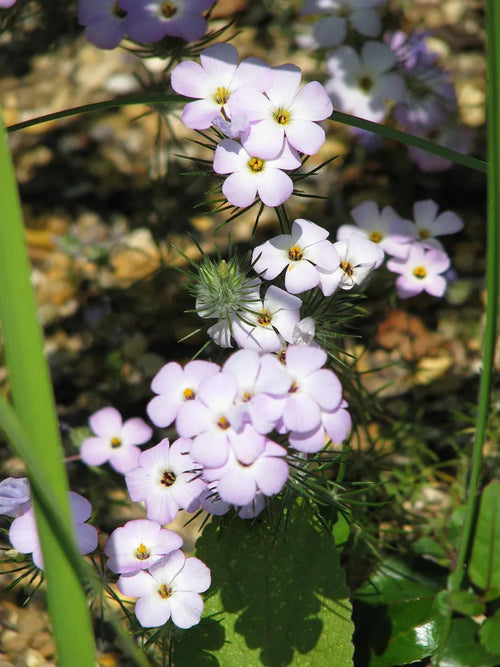 d95ad26c-70e6-4456-a029-69c61c8a7504