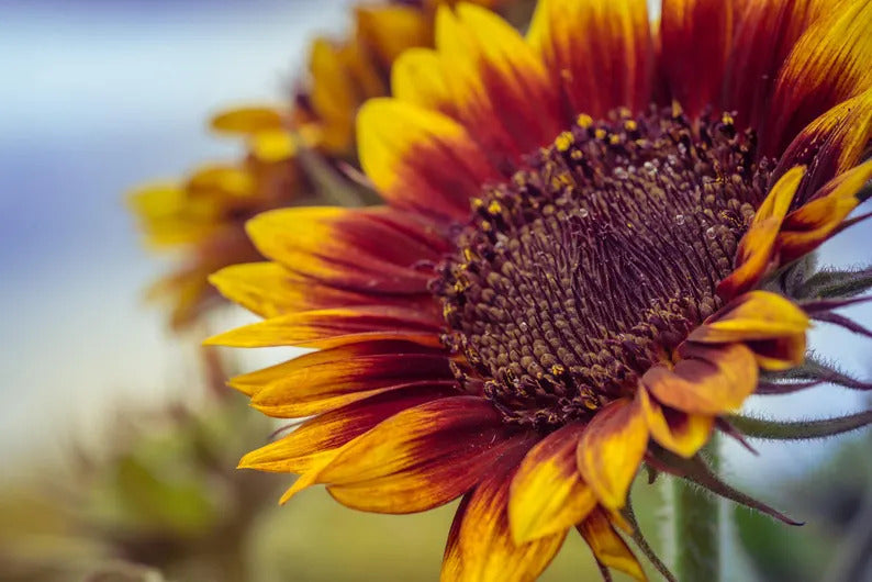 6335b8f0-cb3c-44ae-a42d-39dbdeba2886