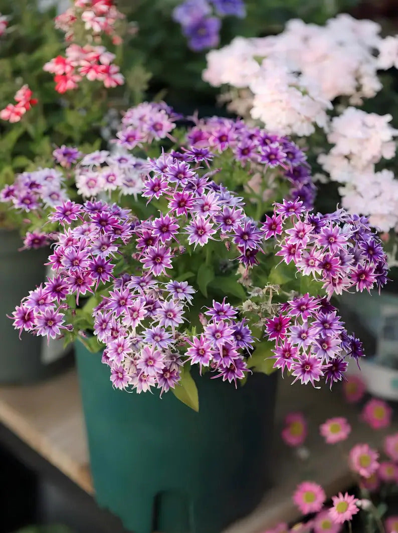 3072b430-6c01-4b58-bc7d-6eead78301c7