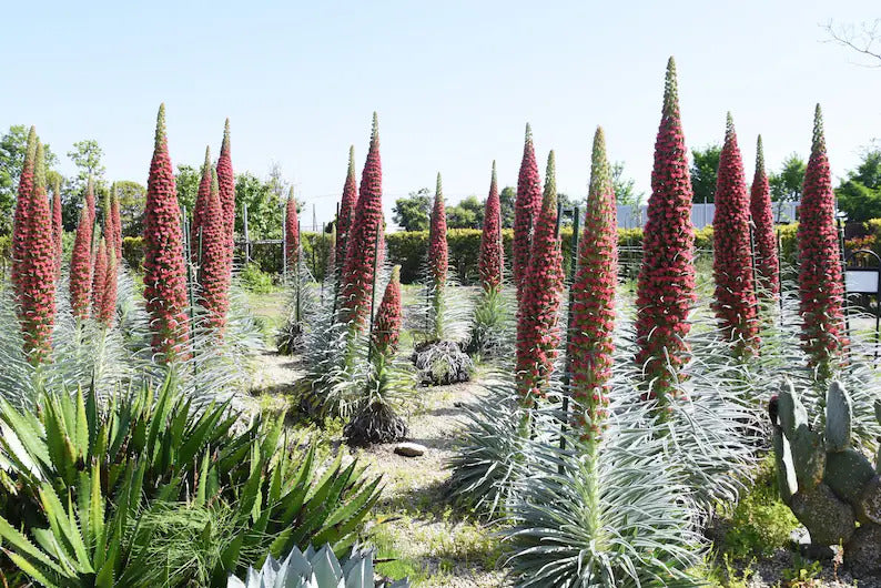 ea8776f9-5a18-4ae8-b100-3fb775bbcdc1