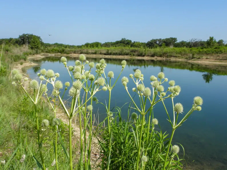 e8cb09dd-ecc9-4190-b3b5-7c01bd70629a