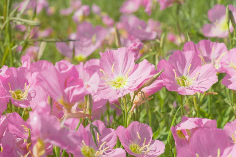 621a9018-06ce-4b44-a9d1-6b239afb6bf4