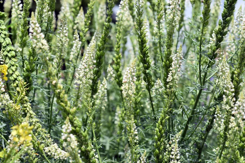 36cedc8d-5dbb-4eb5-934f-a99ae538258d