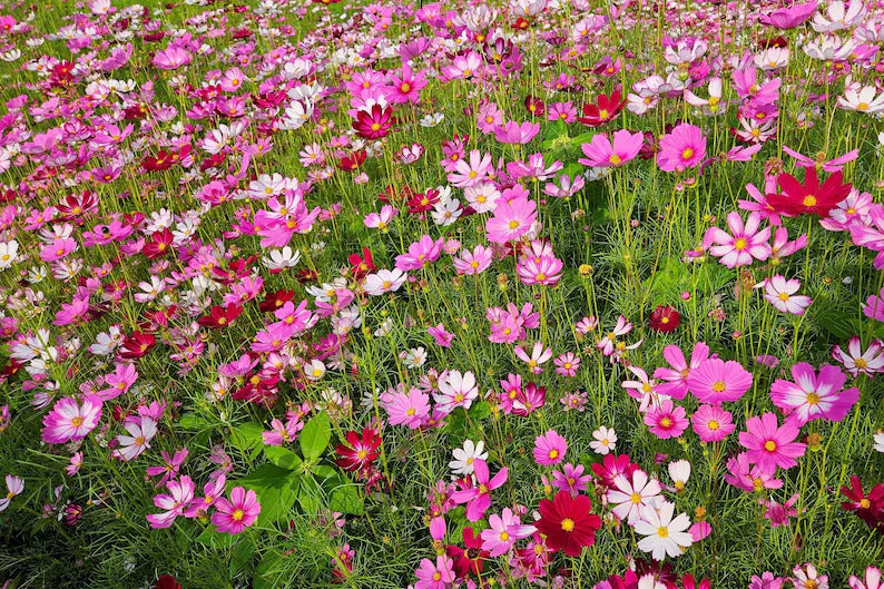 a684d153-7e42-4276-9991-24f6bfb43170