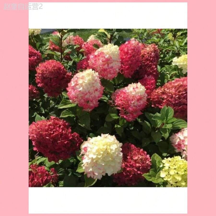 96376972-7a27-4c5c-bf78-7a836b48b080