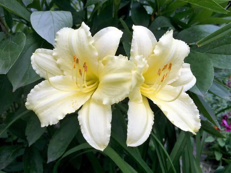 e6c3405d-64fd-4839-9f1e-866cd2020f5e