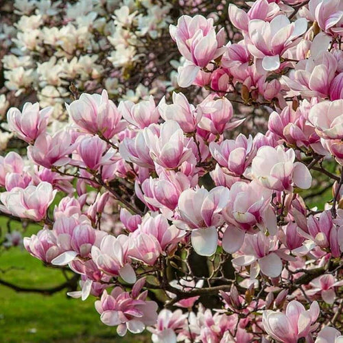 28bf74c8-27f4-4ac7-a3e6-9b74a43719b4