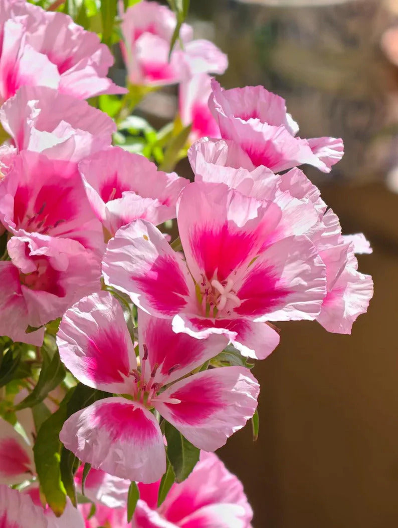 c70a84af-dc28-4cfc-90cb-6bbea984275a