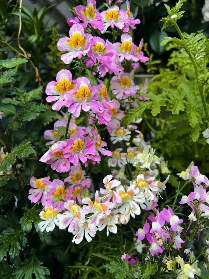 0fe453f7-7c22-41c3-974f-59245083426e