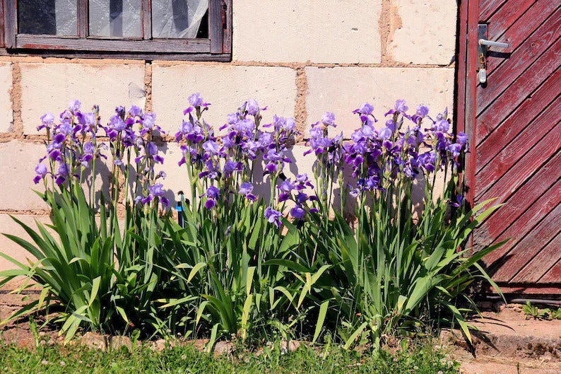 0b48a840-4344-407a-a48b-fcf2433ac911