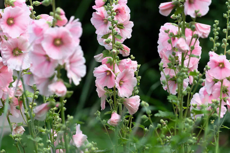 e934a996-1f9f-49c2-9380-0aa0573a36e8