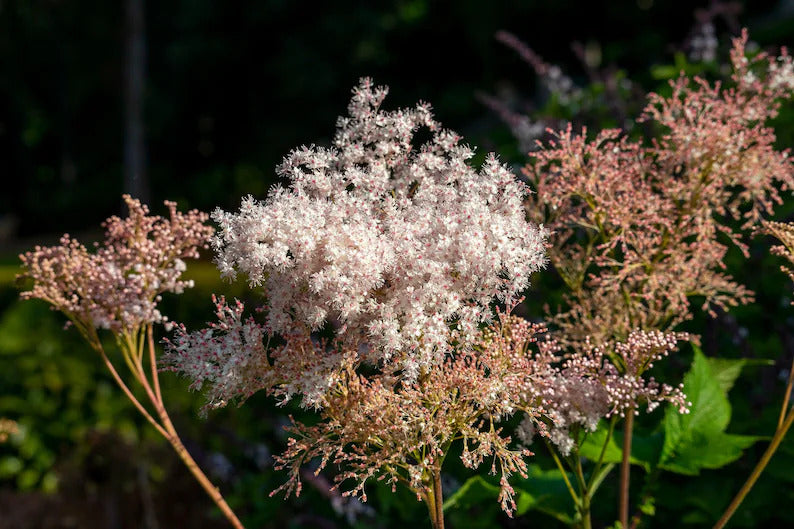 1cf2e178-a594-450e-bca7-4208e1fa4b98