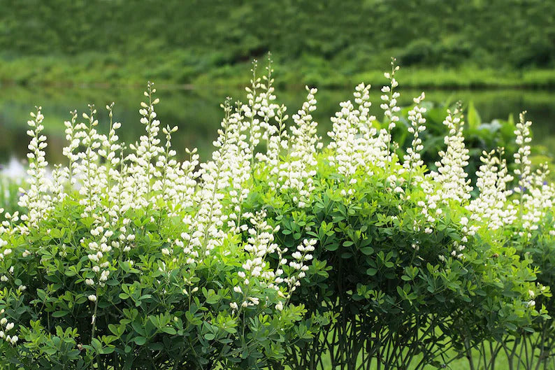 062f3241-0f11-4095-9c7a-5b003cf30203