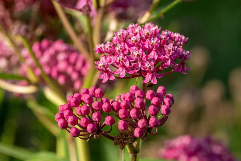 65baa151-e59d-4c41-9bae-40741f5667c4