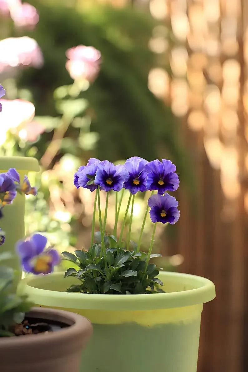 f4188353-2756-4961-b365-3d5a610a776c