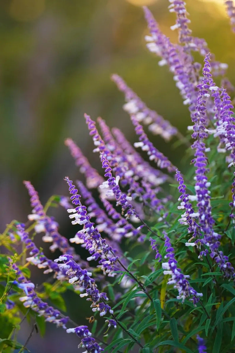 8f348e35-babc-4cfd-9800-efe54e885ea8