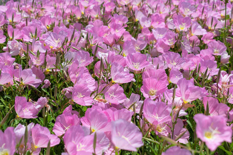 fbfc36e0-268b-49fd-b243-37454cc819f3