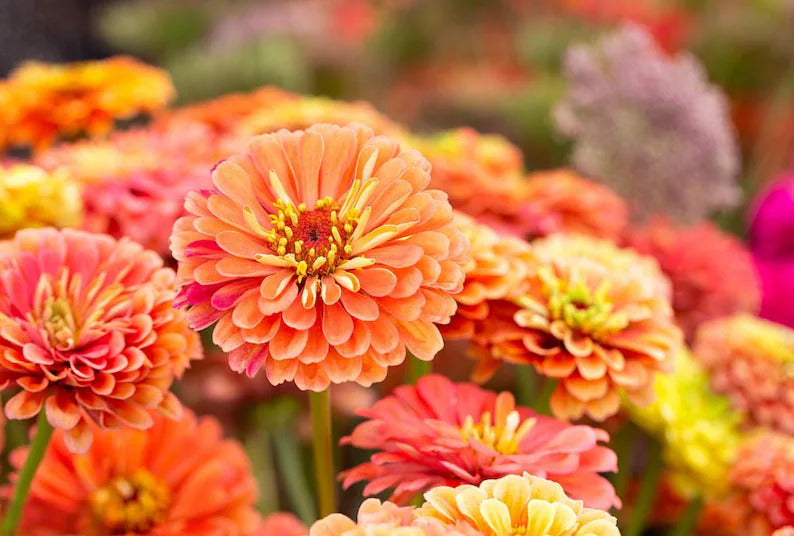 10f719ee-beab-4ca4-a686-33c62ac2e4c0