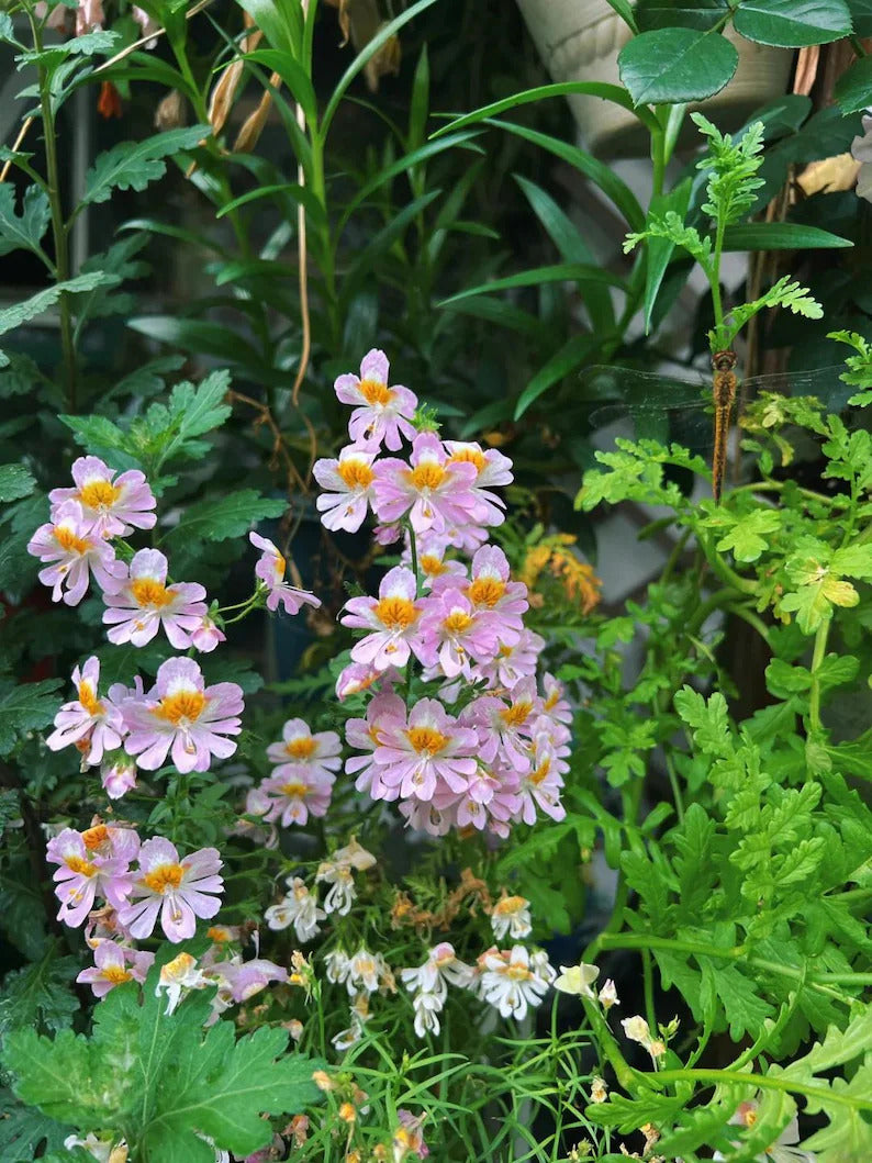 211ac388-2023-4cca-9eab-3541ee4d03e0