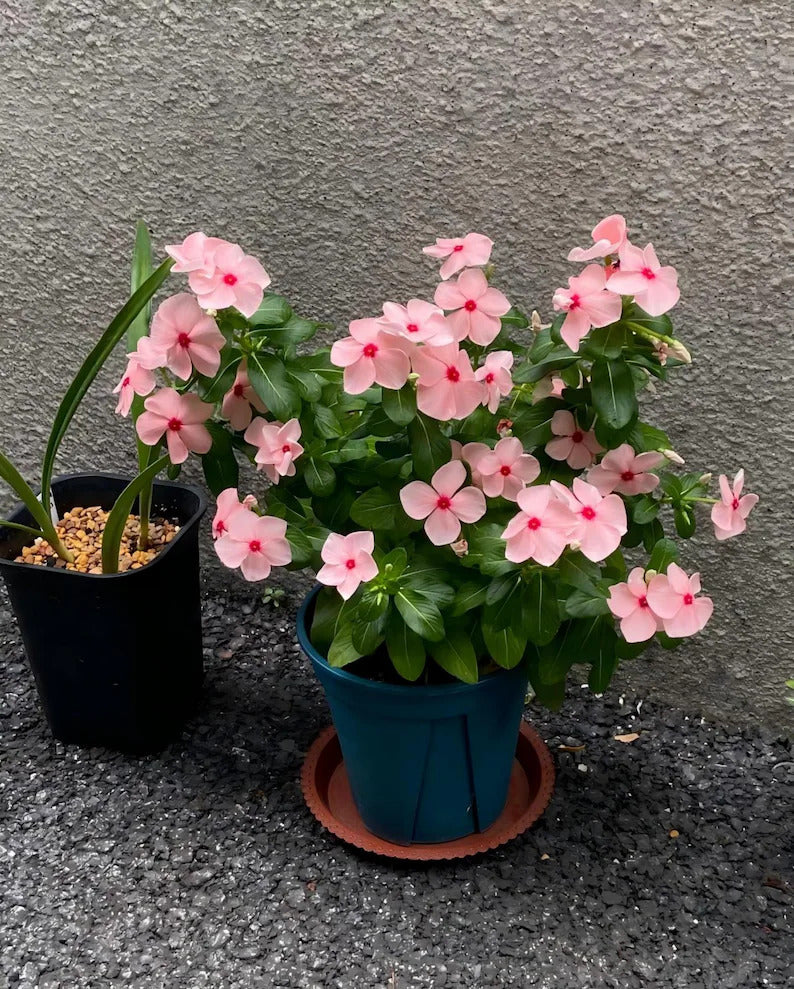 45517f2c-f135-41d4-b4fb-d43f2f0cf078