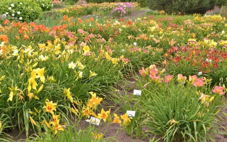 a5d9b3b2-6934-40ad-8092-220131c73429