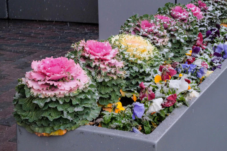 eebecc05-25f9-4c33-a7a0-81e865d19016