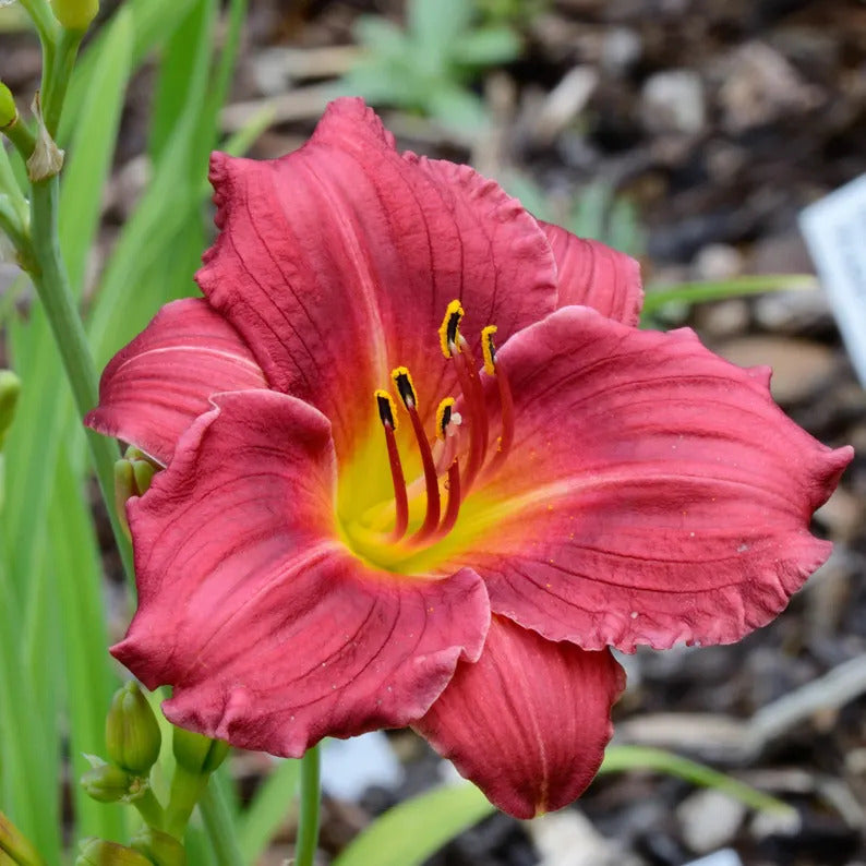 8d20bf14-f8c1-4b32-a386-0fa176386ae6