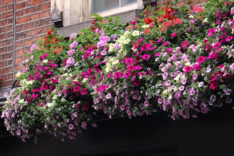 c97e15eb-73e9-4653-bc19-a75c16c7cb87