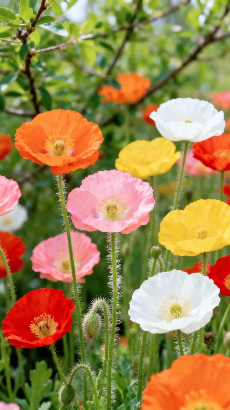 6eccfe4e-ac4f-46d0-8980-4fd1dc69d2f2